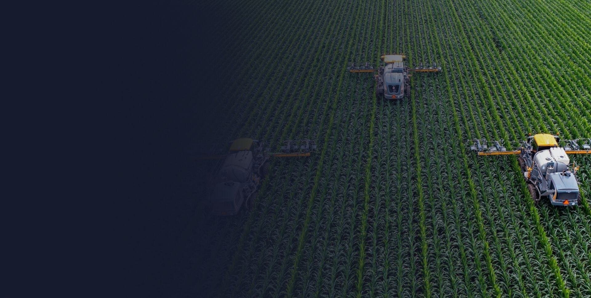 3 harvesters on top of crops