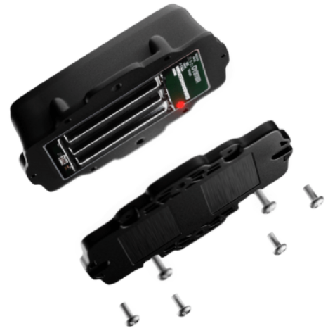 Batteriebetriebenes-Modell-Explodierte-Auster-Digital-Materie