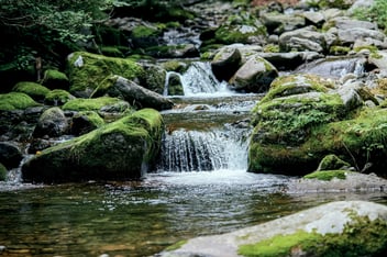 small waterfall with water trickling down, with mossy rocks