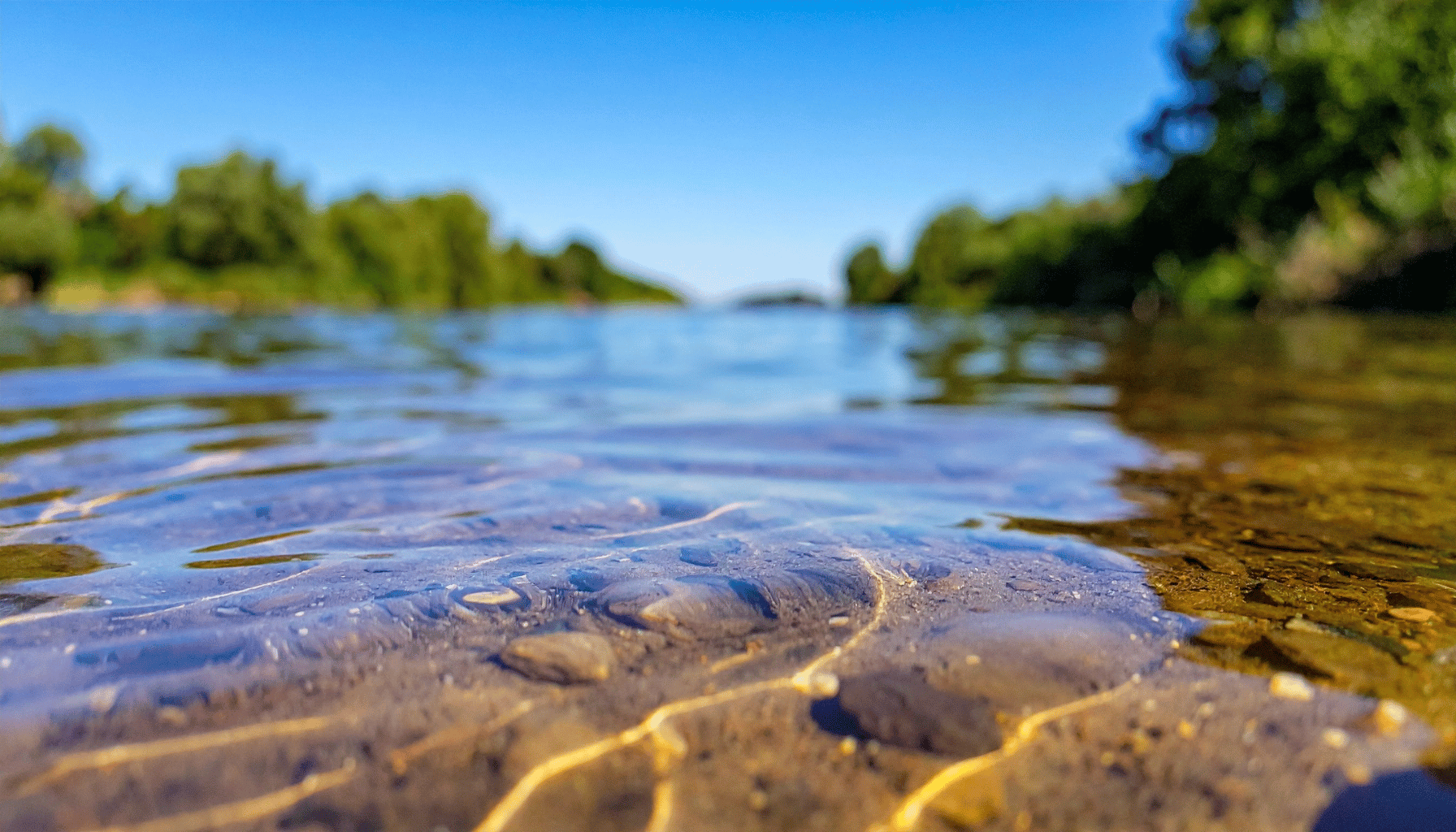 Water Quality Monitoring: Remote Sensor Solutions