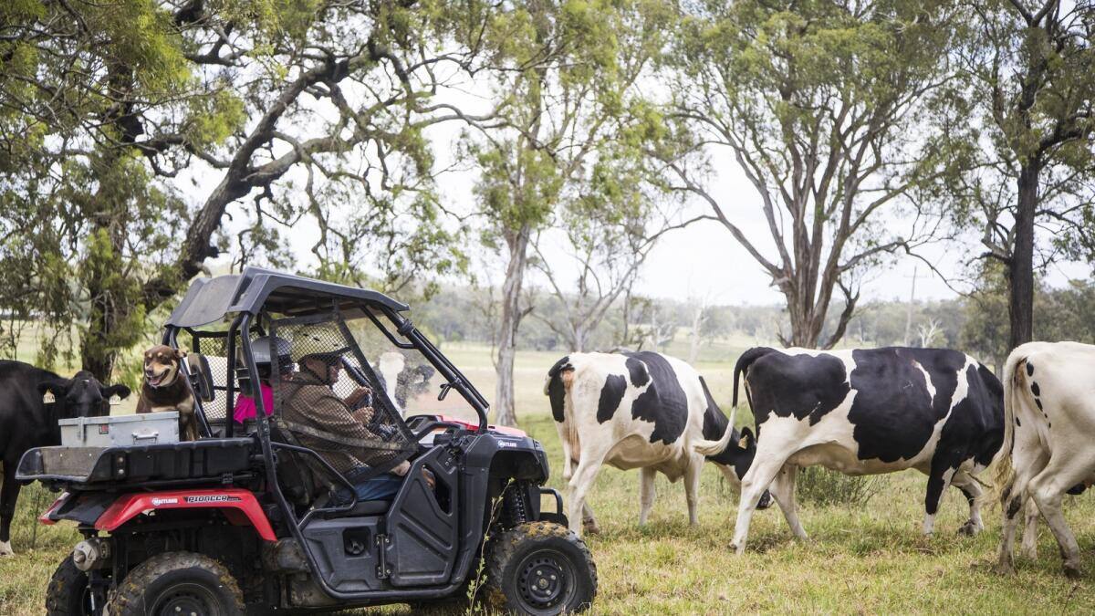 Agriculture Monitoring